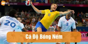 cá độ bóng ném