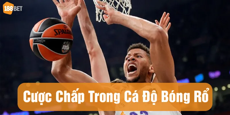 Cược chấp là một kèo thường gặp trong cá độ bóng rổ