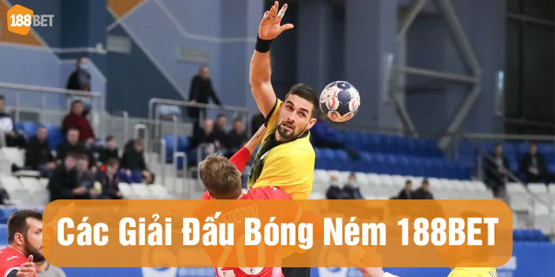 Tổng hợp các giải đấu bóng ném tại 188BET