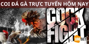 link coi đá gà trực tuyến