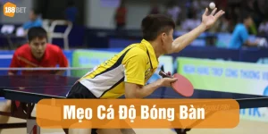 mẹo cá độ bóng bàn