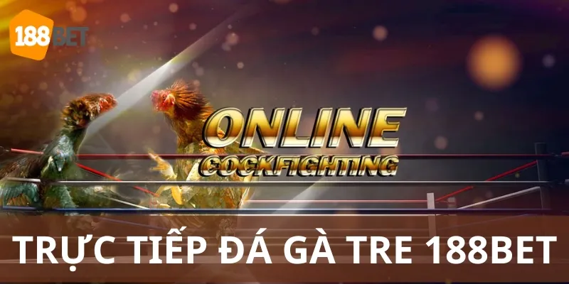 Nhà cái 188Bet cung cấp link xem trực tiếp đá gà tre chất lượng cao 